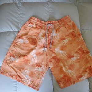 VILEBREQUIN Men's Boardshorts